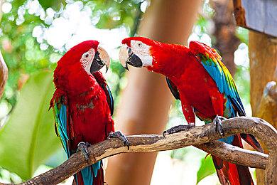 赛博朋克动作游戏《警戒2099》虚幻5实机演示